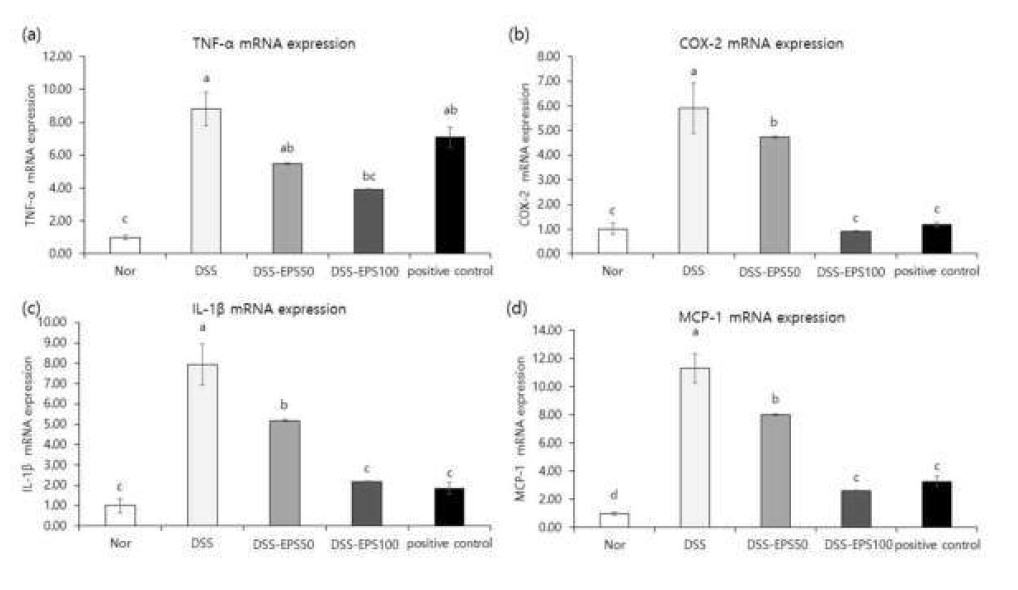 Effects of EPS on mRNA expression levels of TNF-α (a), COX-2 (b), IL-1β(c) and MCP-1(d) in C57BL/6 mice with DSS induced colitis. Nor: Normal diet. DSS: DSS + Normal diet. DSS-EPS50 : DSS + 50 mg/kg b.w. EPS, DSS-EPS100 : DSS + EPS 100 mg/kg b.w. positive control : DSS + 500 mg/kg b.w. Suflasalazine. a-dMeans with the different letters at the same storage period are significantly different (p < 0.05) by Duncan’s multiple range tests