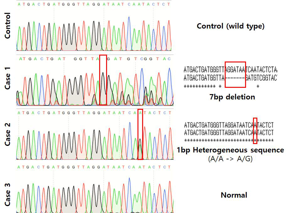 CRISPR/CAS9를 이용한 형질전환 생식선줄기세포의 DNA 염기서열 분석 결과