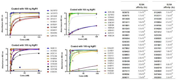 NgR1에 대한 40종 항체의 ELISA binding affinity