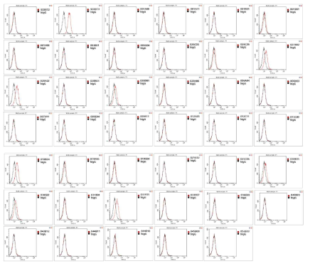 NgR1 음성 세포주에서 항체 40종에 대한 Cell FACS