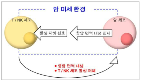 암 미세 환경