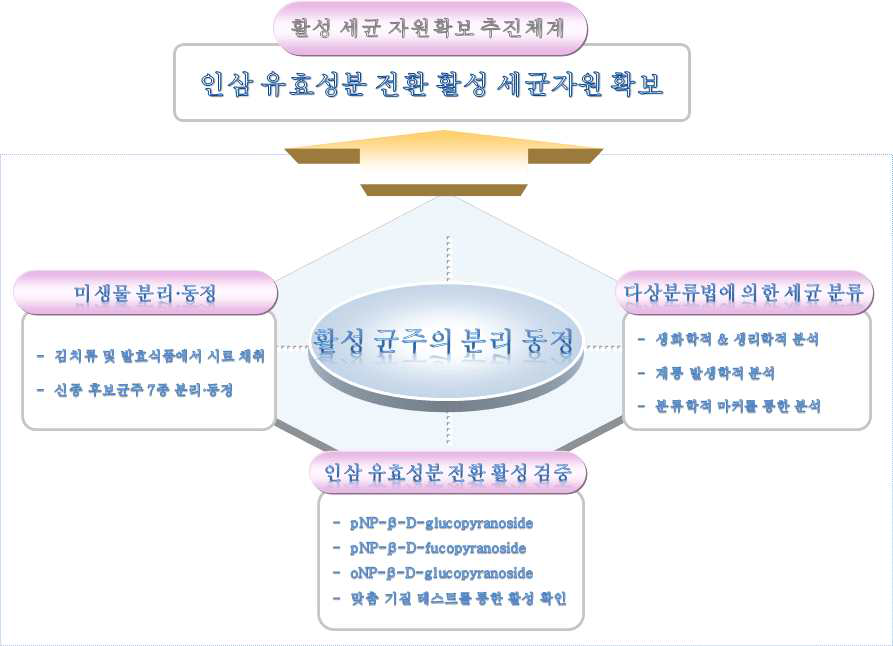 진세노사이드 전환 활성 세균자원 확보 추진체계