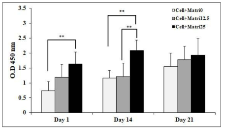 Matrigel 농도에 따른 Caco-2 세포 생존율 변화