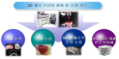 3D 세포 프린팅 기술 활용 분야