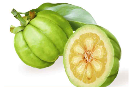 Garcinia cambogia