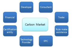 Carbon Market Player