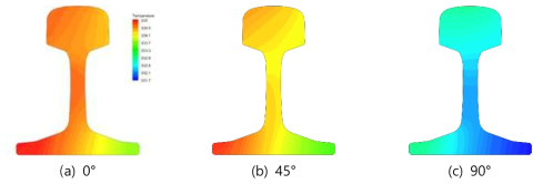 최대온도 시점에서 레일의 단면 온도 분포