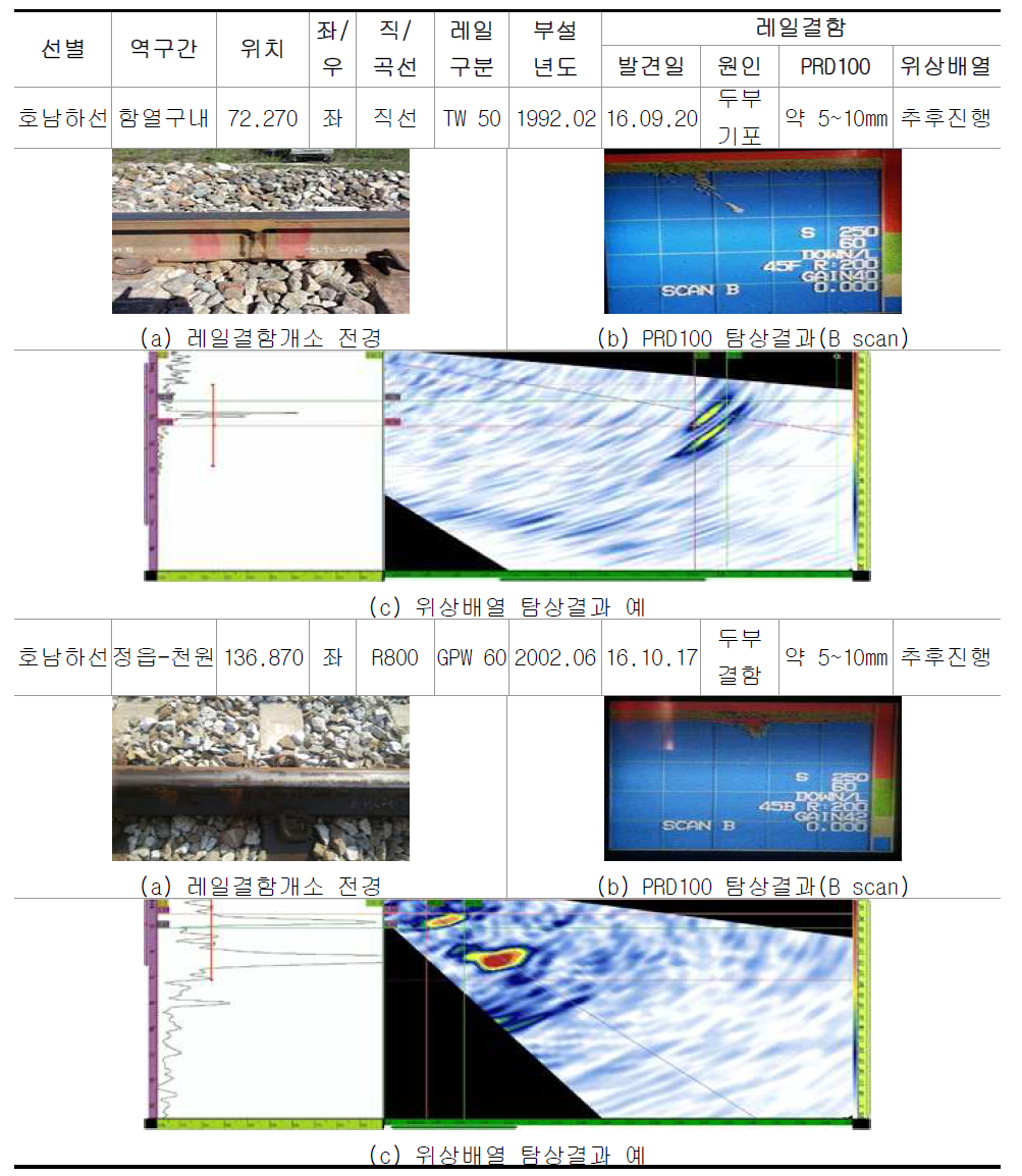 레일결함 개소 현장조사결과