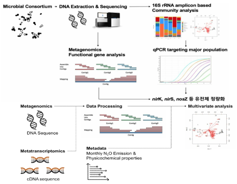 High-throughput sequencing이나 N2O 환원 컨소시엄의 nosZ 유전체의 정량, 정성적 분석