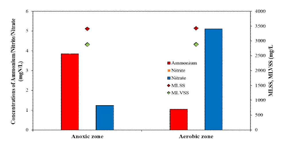 광주 제2하수처리시설 생물반응조 내 NH4+, NO2-, NO3- 분석 결과 그래프