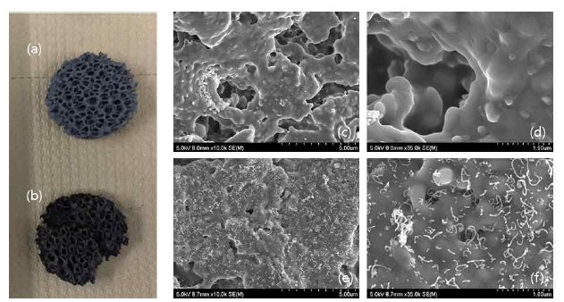 SiC 폼형태의 실제 사진과 SEM이미지 반응 전 SiC(a,c,d) 반응 후 (b,e,f)