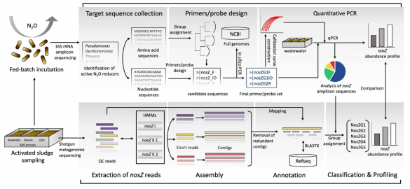 프라이머 및 프로브 디자인을 통한 nosZ qPCR과 샷건 메타지놈 분석 파이프라인 모식도