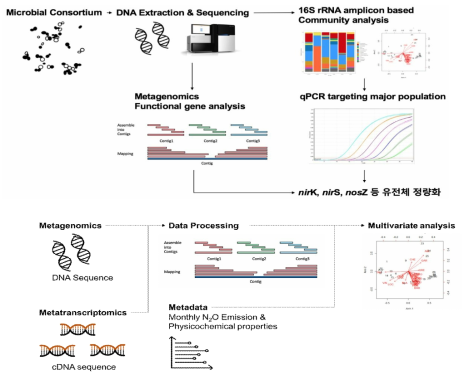 High-throughput sequencing이나 N2O 환원 컨소시엄의 nosZ 유전체의 정량, 정성적 분석