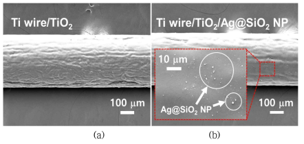 Ag-내장형 SiO2 나노입자의 유무에 따른 Ti 와이어/다공성 TiO2 광전극의 SEM 이미지. (a) Ti 와이어/다공성 TiO2 광전극, (b) Ag-내장형 SiO2 나노입자가 코팅된 광전극