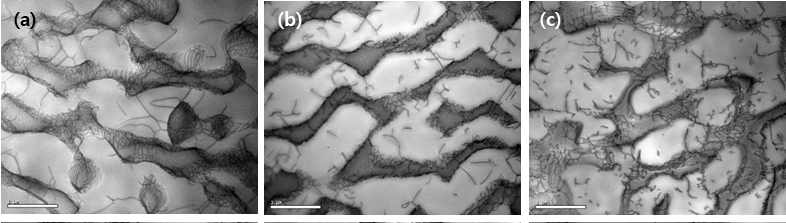 크리프 실험 후 TEM 관찰 결과. 982oC/180MPa에서 실험후의 (a) CMSX-4, (b) KMXP220Re, (c) KMXP303 전위조직