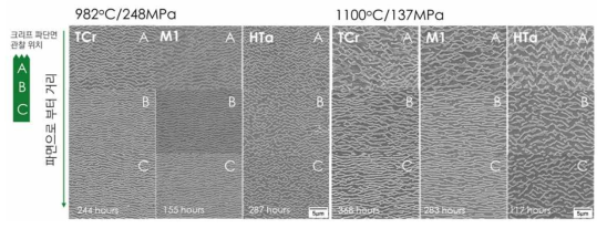 3차 설계합금 TCr, M1, HTa 파단면 SEM 미세조직