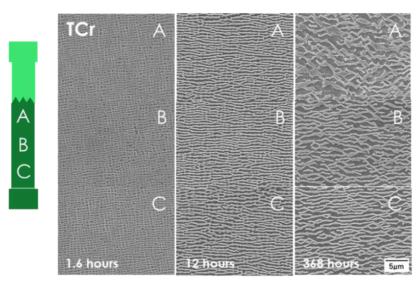 TCr 합금의 1100℃/137MPa 조건 크리프 시간에 따른 시편 단면 SEM 미세조직