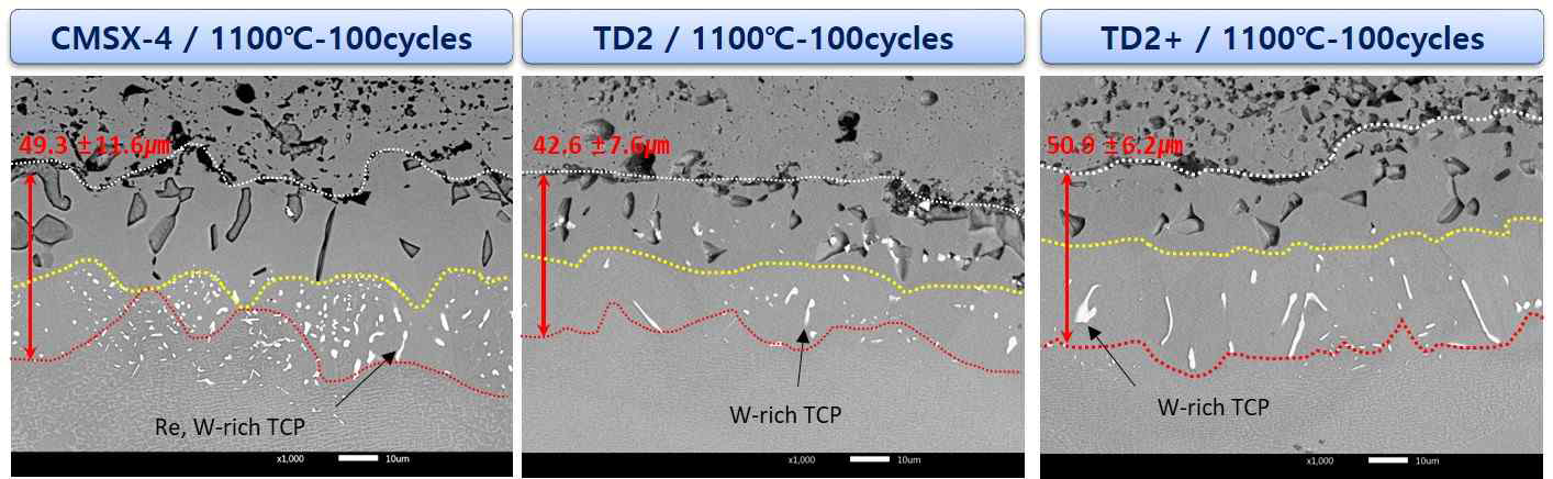 1100℃ 반복 열피로에 따른 2세대 상용합금과 Re-free 1차 후보합금의 계면 미세조직
