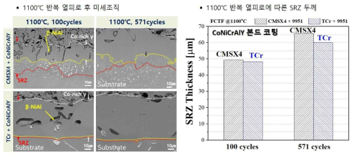 1100℃, CoNiCrAlY 하에서 상용합금과 TCr 합금의 계면 반응 비교