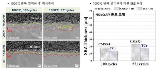 1000℃, NiCoCrAlY 하에서 상용합금과 TCr 합금의 계면 반응 비교