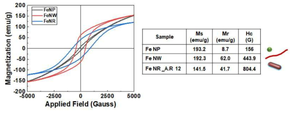 FeNP, FeNW 및 FeNR의 자기이력곡선