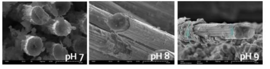 pH 변화에 따른 도금된 탄소섬유 표면 SEM 이미지