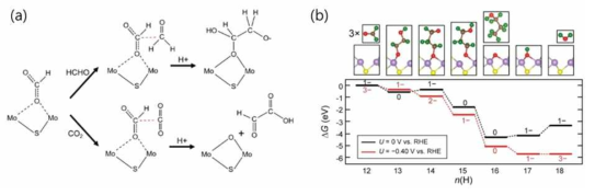 (a) CO2환원 반응 모식도, (b) 1-propanol에 대한 반응경로 및 반응에너지