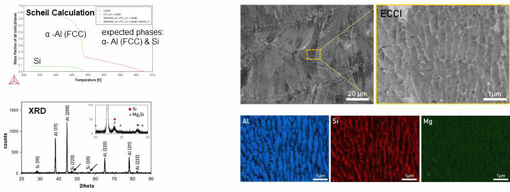 AlSi10Mg 소재의 Scheil 계산(좌상), 시편의 XRD 분석(좌하), SEM ECCI 이미지와 합금원소의 EDS mapping (우)