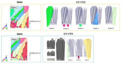 EBSD 분석과 상장 모델링 결과의 비교