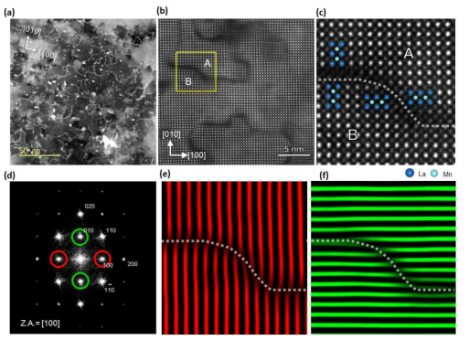 (a) 박리된 LCMO 박막의 plane-view TEM 이미지. (b) 도메인들의 원자분해능의 HAADF STEM 이미지. (c) (b)의 노란색 박스의 확대된 이미지. 점선은 APB를 나타냄. (d-f) (c) 영역에서의 전자빔회절패턴에서 각각 수평(red circles), 수직 방향(green circles)으로의 회절 점들을 선택하여 얻어진 Bragg filtered TEM 이미지