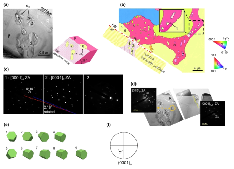 1차 α상 (9번)에 대한 3차 α상 결정립(1-8번) 방위 해석 결과 (a) 표면 밑의 3차 α상의 TEM 이미지, (b) EBSD 방위맵과 TEM 분석을 위한 FIB 가공 부위(적색 점선) (c) 심부 1~3번의 방위관계를 보여주는 TEM SADP (d) β상과 초정 α상 방위 (e) 1~9번 위치의 α상 방위 (f) 3차 α상의 (0001) 극점도