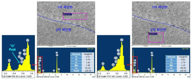 파단면에 대한 EDS 분석결과