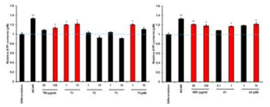 C2C12 세포에서 선발소재 2종(TRI 및 ARH)의 지표성분 처리에 의한 ATP 생성능 평가