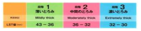 일본 2013 연하 조정식 분류 기준 등급
