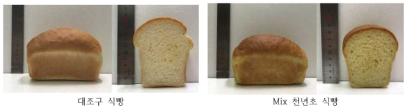 미립자화 천년초 첨가 혼합물 소재로 제조한 식빵 사진