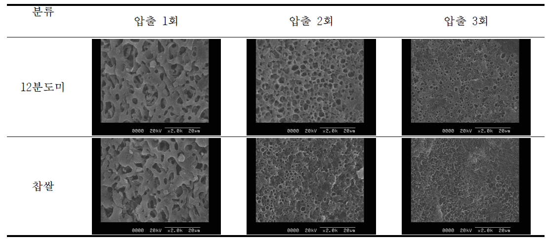 압출 횟수에 따른 가래떡의 미세구조(x2,000)