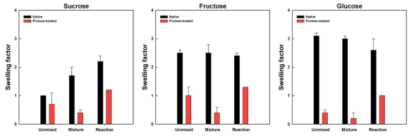 Swelling factor of native and protease-treated starches from wheat with sucrose, fructose, and glucose