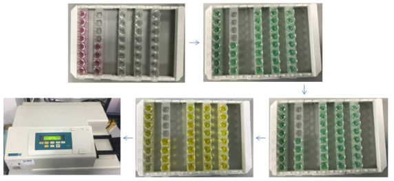 Quantitative analysis of samples using Ridascreen gliadin kit (R-Biopharm)