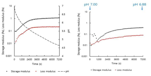 Plots of G’, G” versus time for 0.5% total solid content SPI (0.25%) - rice protein (0.25%) mixed system with or without addition of glucono-δ-lactone