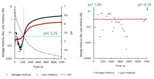 Plots of G’, G” versus time for 0.5% total solid content gellan gum (0.25%) - rice protein (0.25%) mixed system with or without addition of glucono-δ-lactone