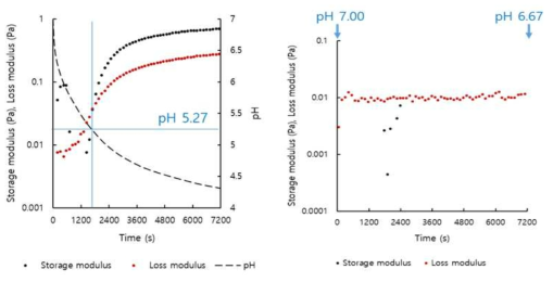 Plots of G’, G” versus time for 0.5% total solid content gum arabic (0.25%) - rice protein (0.25%) mixed system with or without addition of glucono-δ-lactone