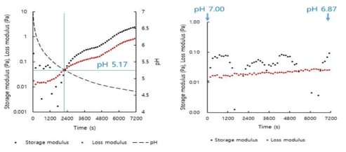 Plots of G’, G” versus time for 0.5% total solid content LM - pectin (0.25%) - rice protein (0.25%) mixed system with or without addition of glucono-δ-lactone