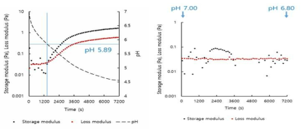 Plots of G’, G” versus time for 0.75% total solid content gellan gum (0.25%) - rice protein (0.50%) mixed system with or without addition of glucono-δ-lactone