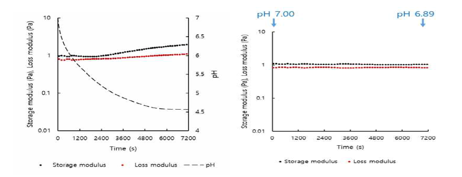 Plots of G’, G” versus time for 0.75% total solid content xanthan gum (0.25%) - rice protein (0.50%) mixed system with or without addition of glucono-δ-lactone