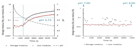 Plots of G’, G” versus time for 0.75% total solid content LM- pectin (0.25%) - rice protein (0.50%) mixed system with or without addition of glucono-δ-lactone