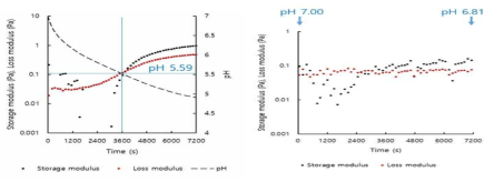 Plots of G’, G” versus time for 1.0% total solid content gellan gum (0.25%) - rice protein (0.75%) mixed system with or without addition of glucono-δ-lactone