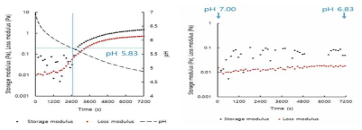 Plots of G’, G” versus time for 1.0% total solid content gum arabic (0.25%) - rice protein (0.75%) mixed system with or without addition of glucono-δ-lactone