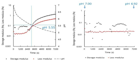 Plots of G’, G” versus time for 1.0% total solid content LM- pectin (0.25%) - rice protein (0.75%) mixed system with or without addition of glucono-δ-lactone