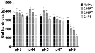 Gel hardness (g) of protease-treated rice flour at different pH levels