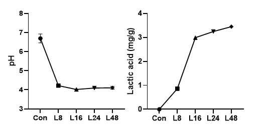 pH and lactic acid content (mg/g) of Lactobacillus-fermented rice flour with fermentation time